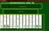 Triple FreeCell
